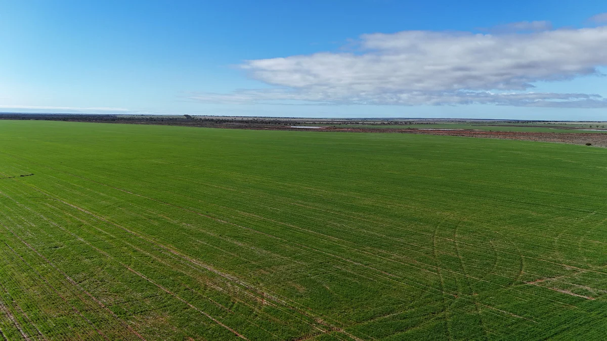 Additional image 2 of 697 Solomon Road, Perenjori WA 6620