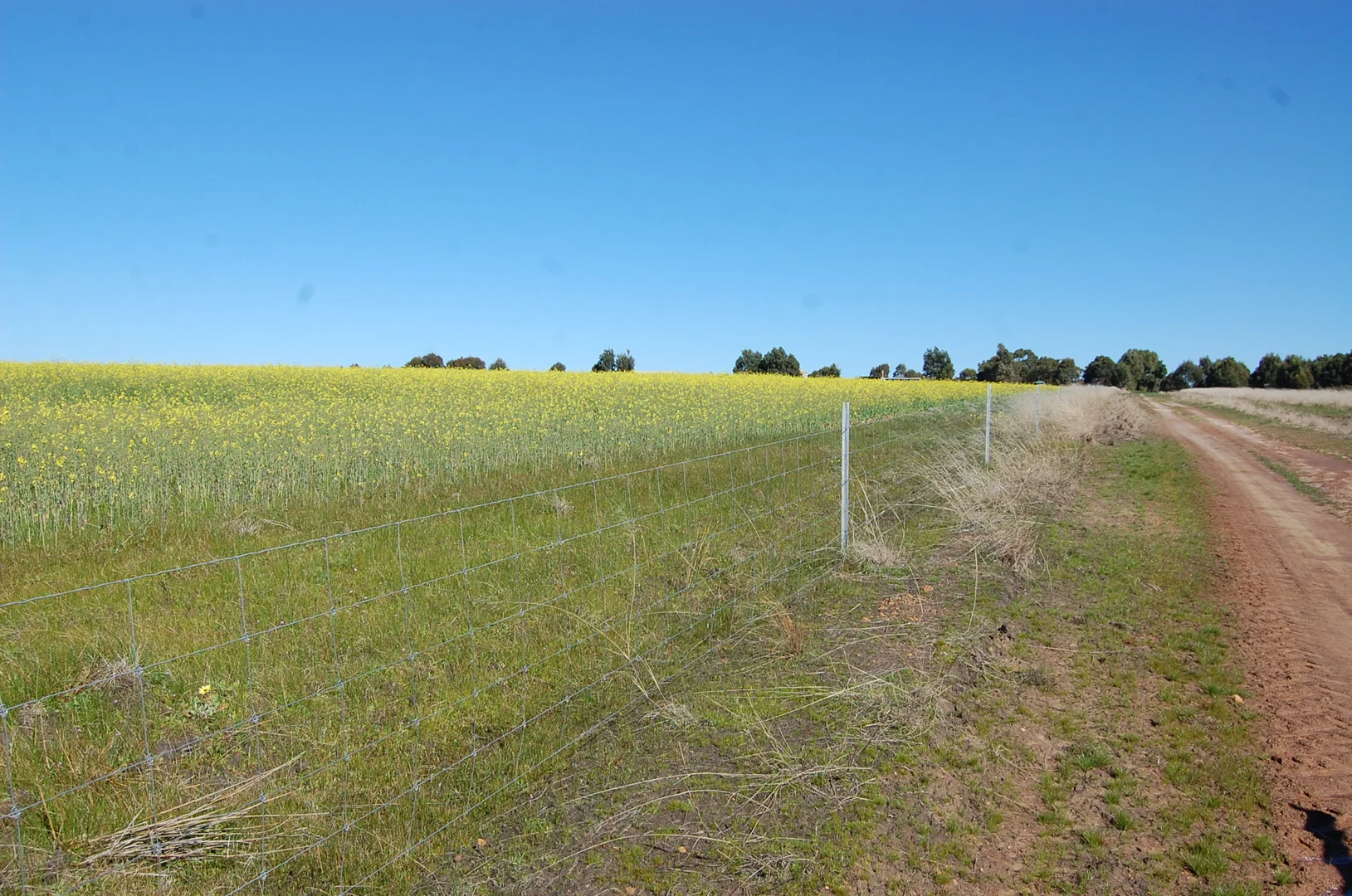 Additional image 17 of 1715 Coxalll Road, Munglinup WA 6450