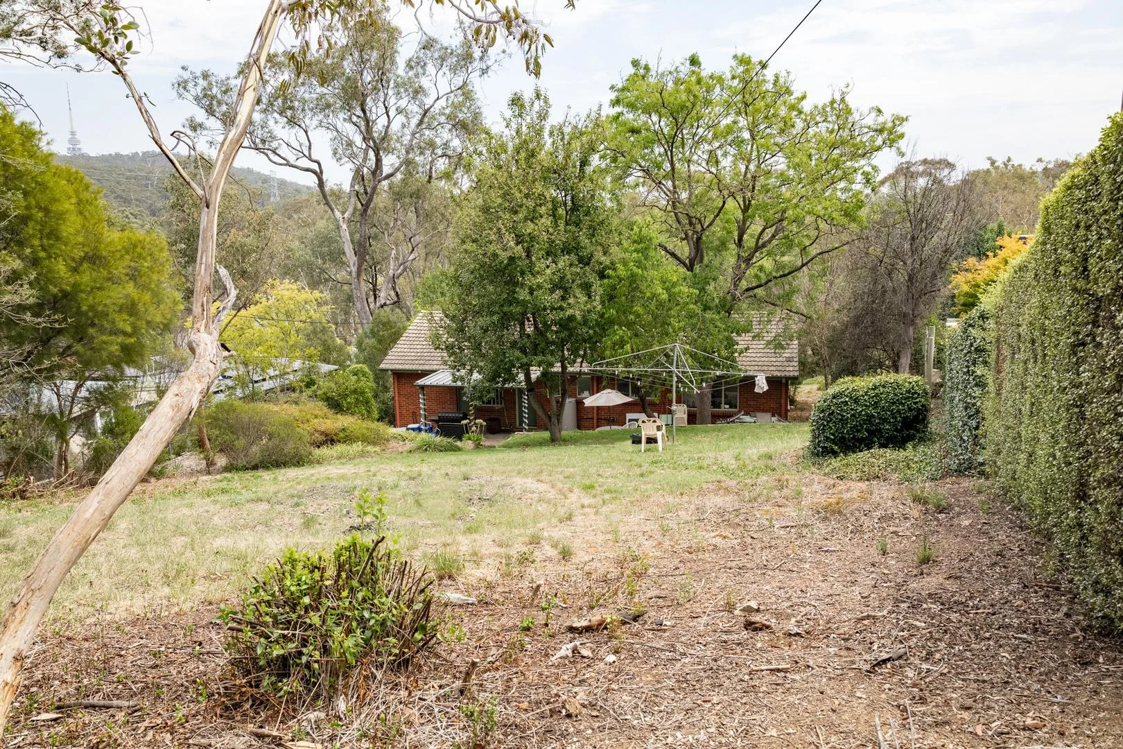 Additional image 8 of 136 Dryandra Street, O'Connor ACT 2602