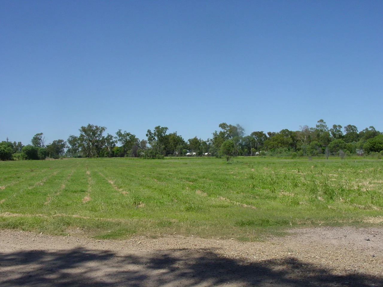Additional image 14 of Corcoran - Sandalwood Drive, Goondiwindi QLD 4390