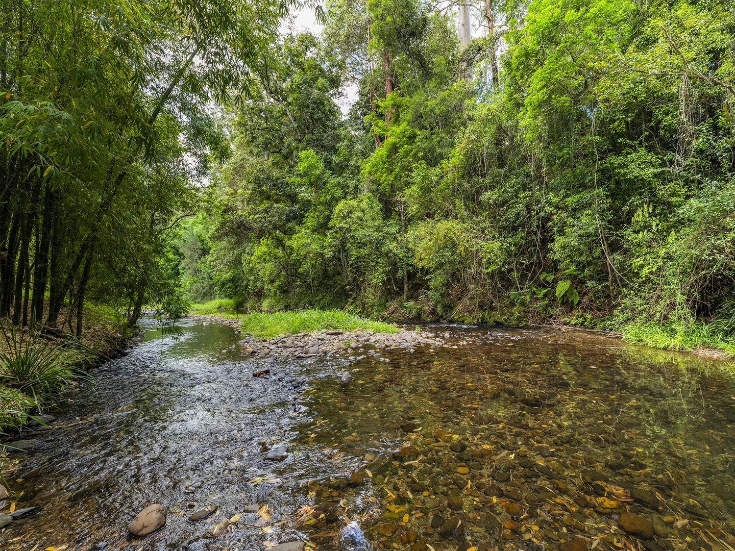 Additional image 29 of 1824 Darkwood Road, Darkwood NSW 2454