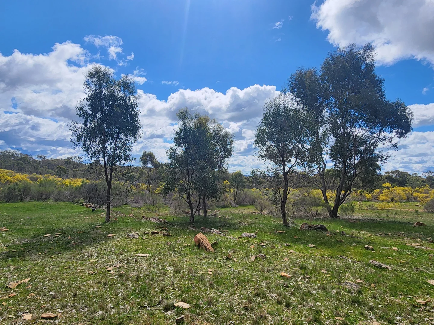 Additional image 16 of 244 Killeens Lane, Derrinal VIC 3523