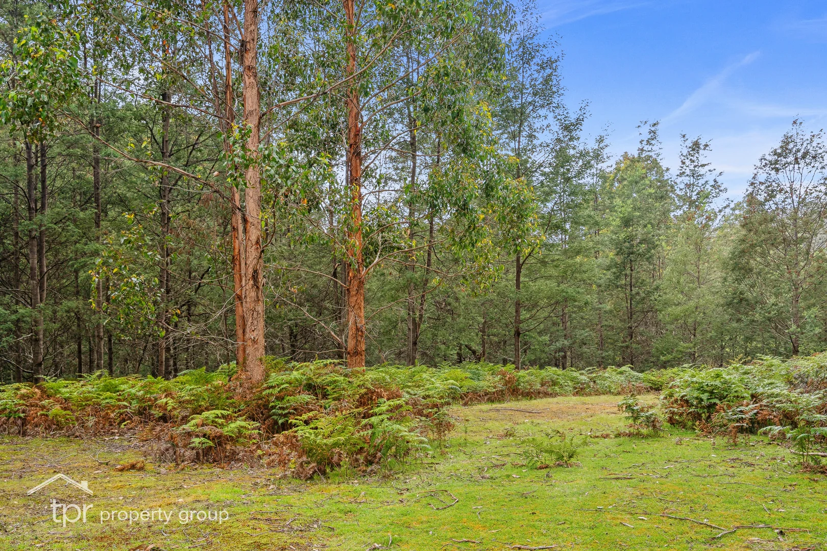 Additional image 16 of Lot 1 Cairns Road, Surges Bay TAS 7116