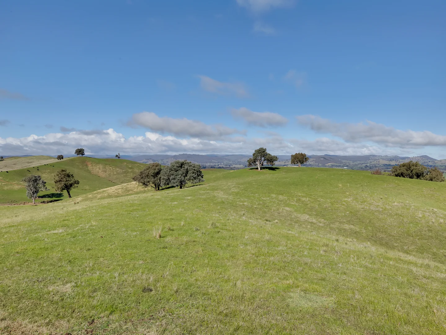 Additional image 26 of 147 Bostock Road, Lurg VIC 3673