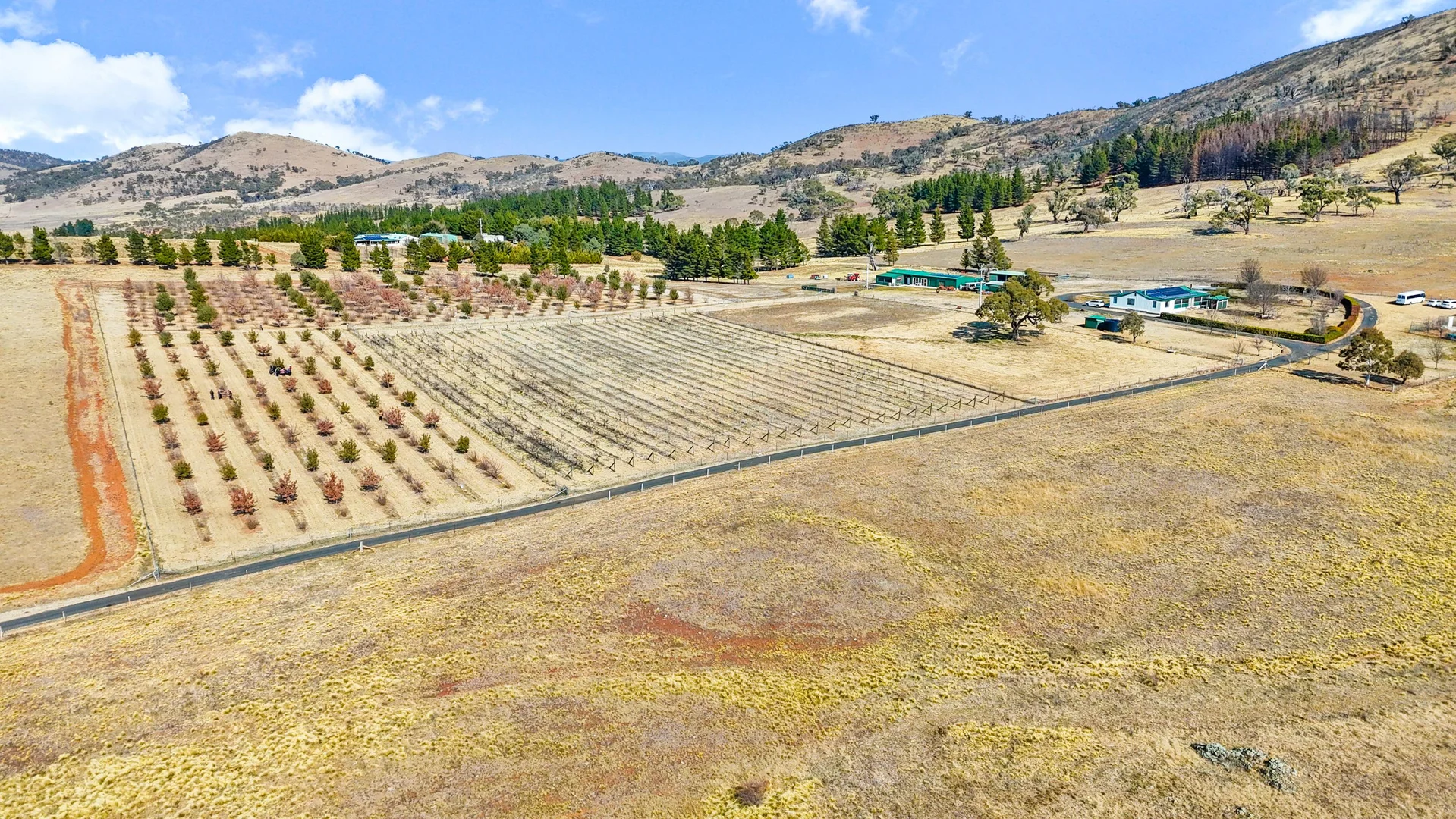 Additional image 28 of 230 Cappanana Road, Bredbo NSW 2626