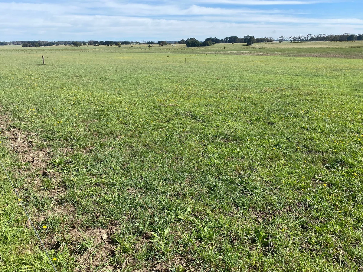 Additional image 4 of Jaffrays Road, Wallacedale VIC 3303