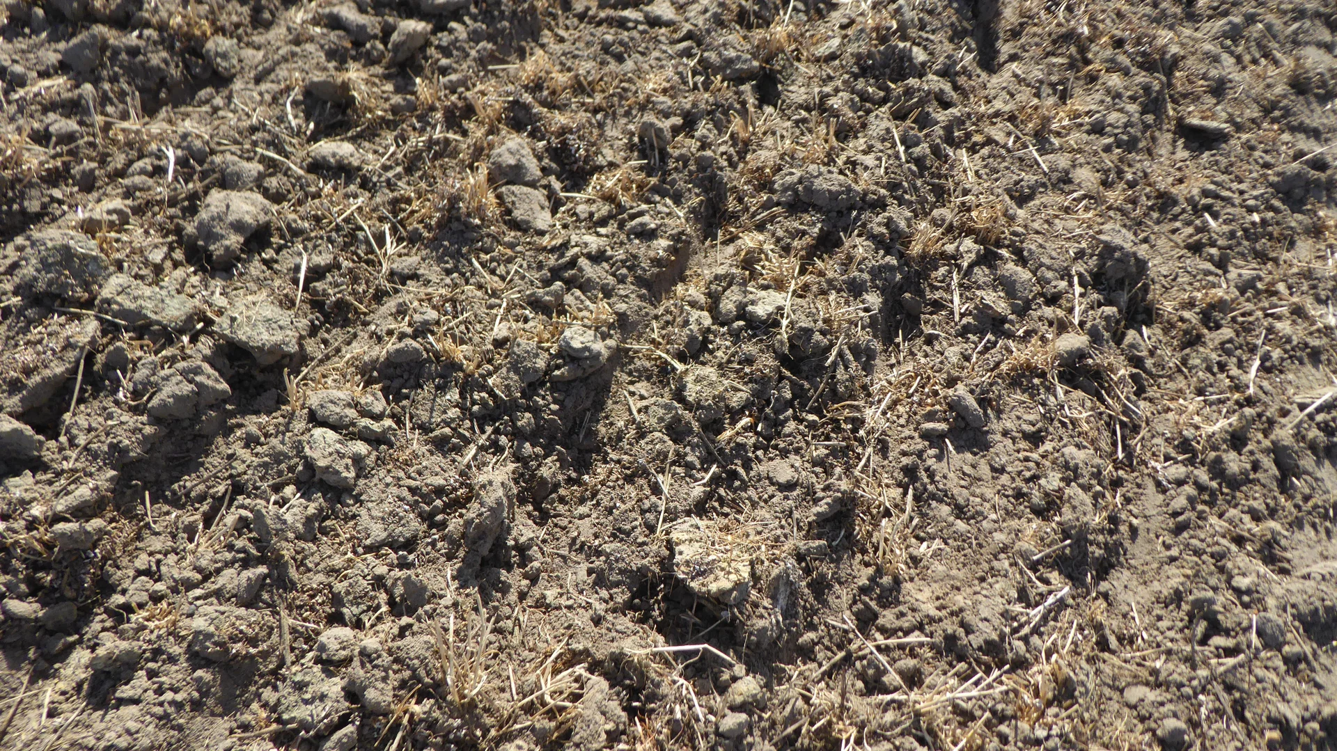 Additional image 24 of "Wyruna" 2989 Naracoorte Road, Western Flat SA 5268