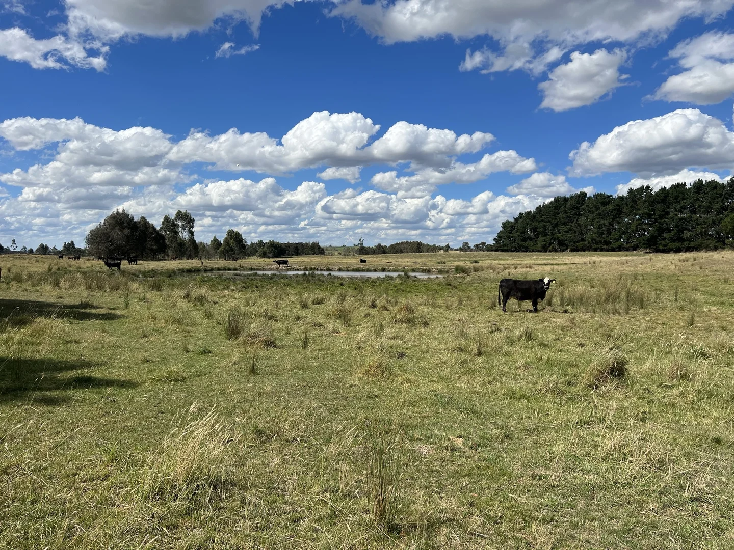 Additional image 22 of Lot 1 Mount Rae Road, Roslyn, Crookwell NSW 2583