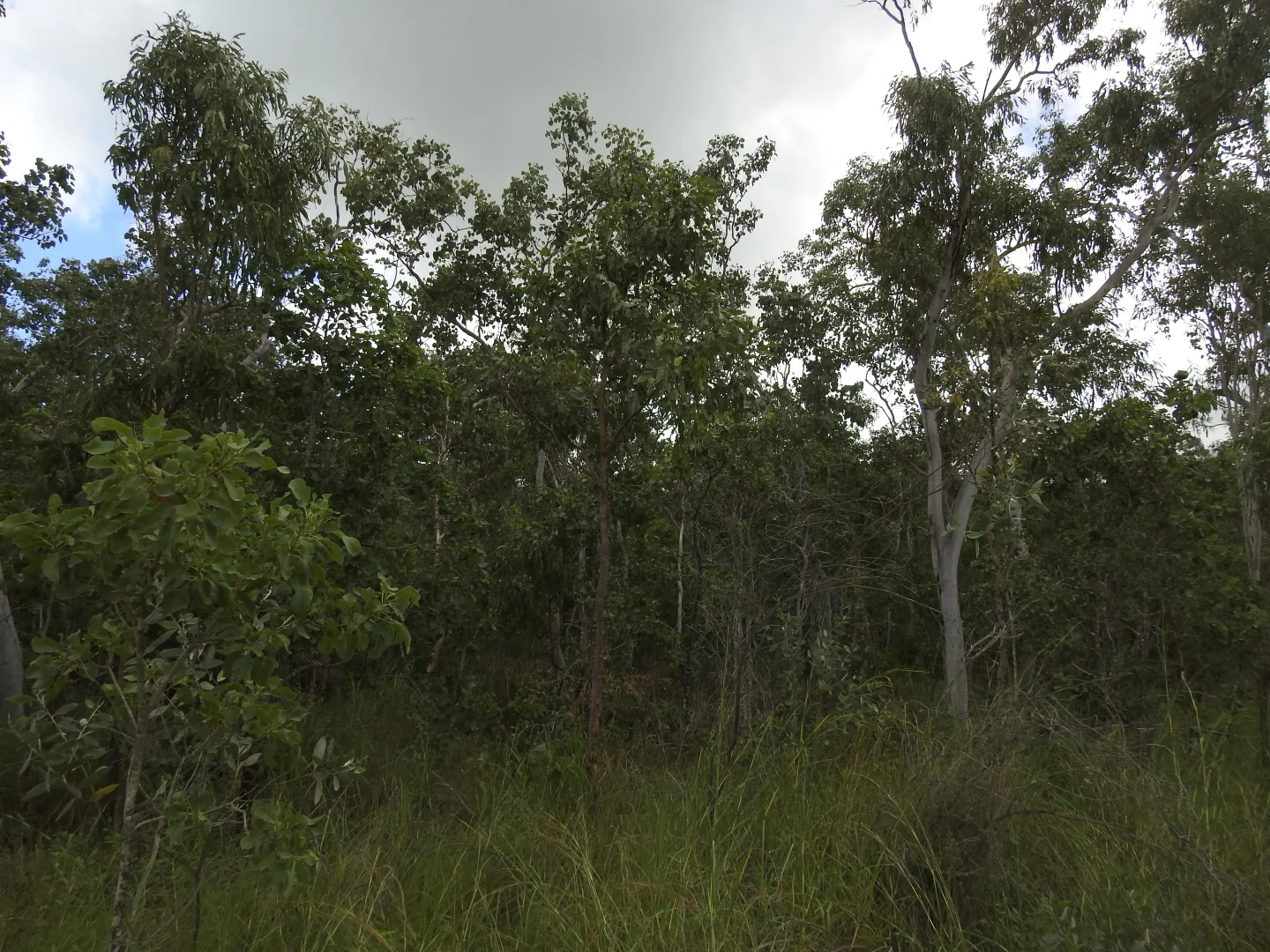 Additional image 11 of LOT 36 Whitsunday Dr, Bloomsbury QLD 4799