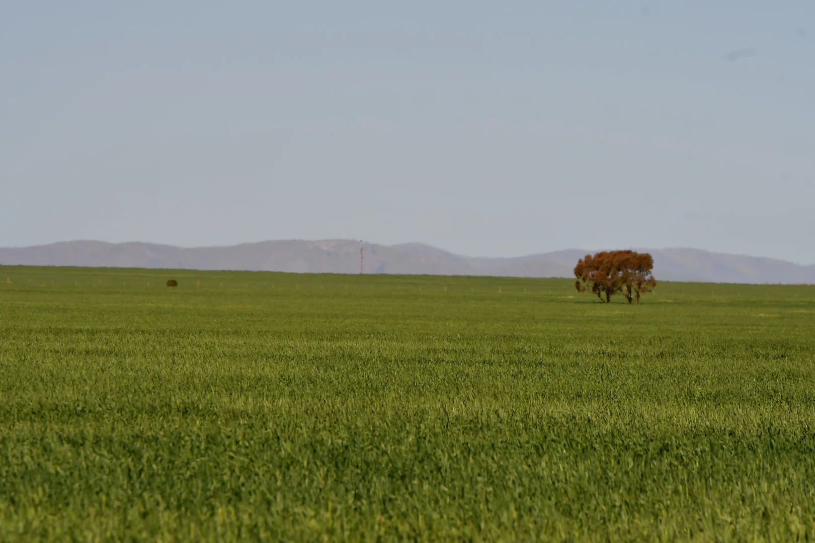 Additional image 11 of 26 Amyton Road, Willowie SA 5431