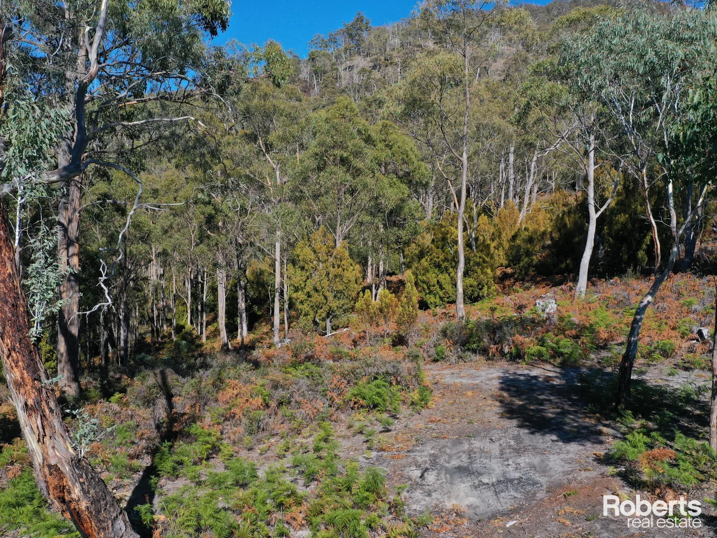 Additional image 16 of Fentonbury TAS 7140