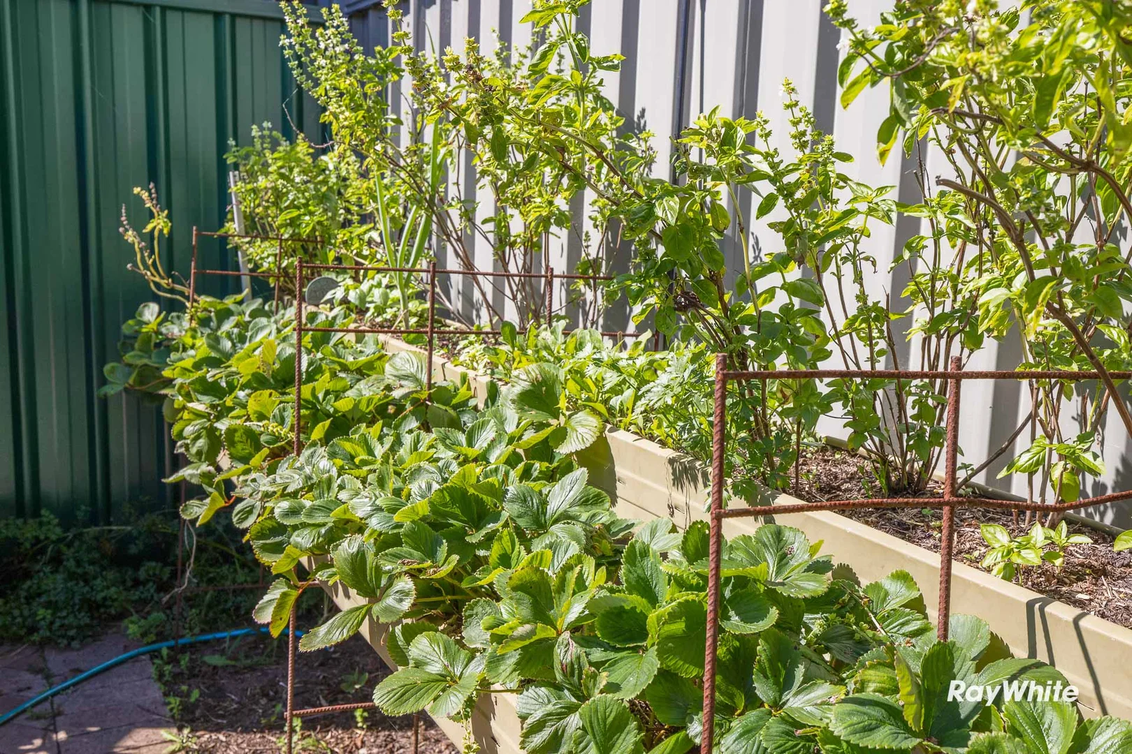 Additional image 44 of 2-4 Trafalgar Road, Tuross Head NSW 2537