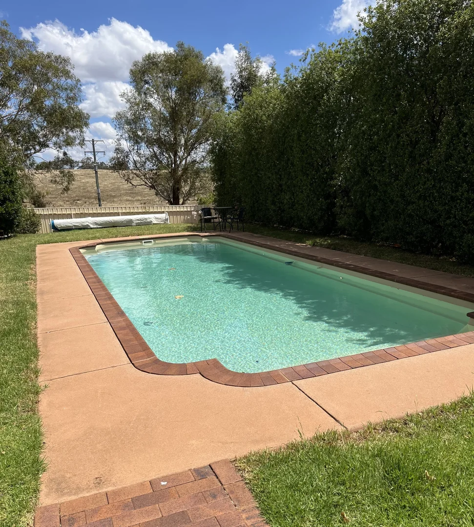 Additional image 18 of 251 Pattersons Lane, Young NSW 2594