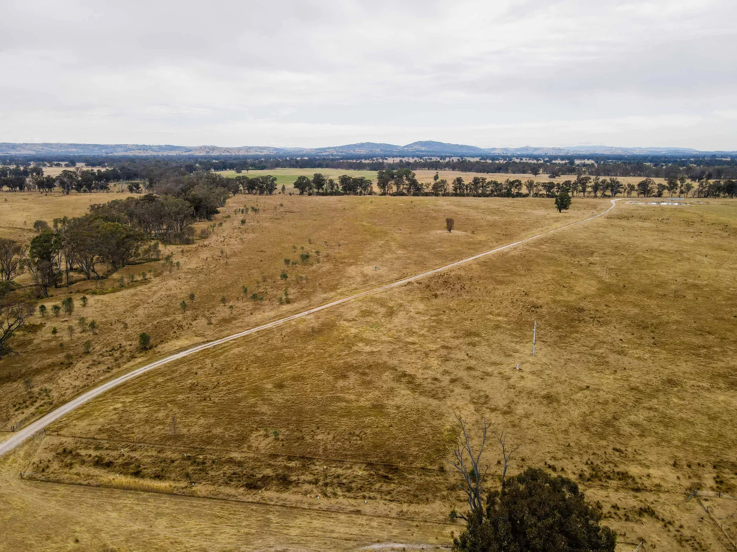Additional image 5 of 2253 Dargalong Road, Nagambie VIC 3608