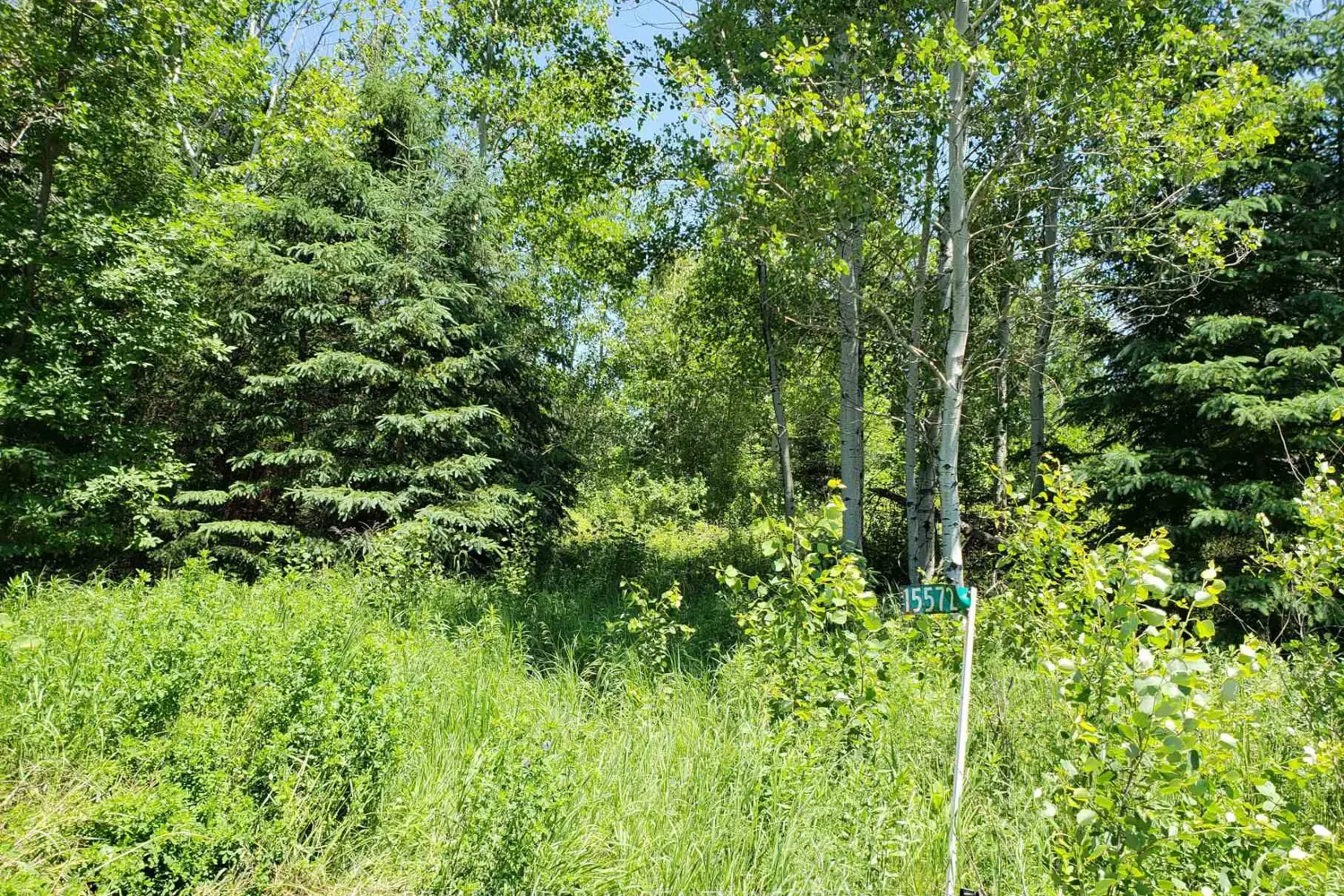 Additional image 3 of 15572 Highway 17