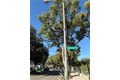Additional image 8 of 209 Carlton Ave, Pasadena, CA, 91103