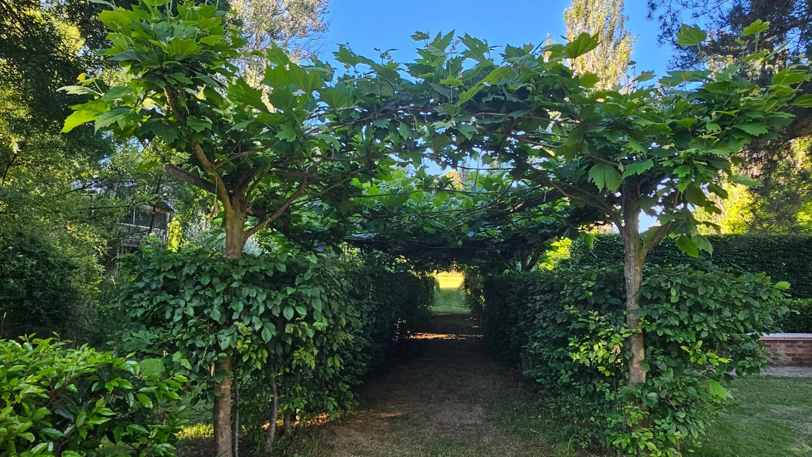 Additional image 10 of Willowvale Mill, Mill Road, Laggan NSW 2583