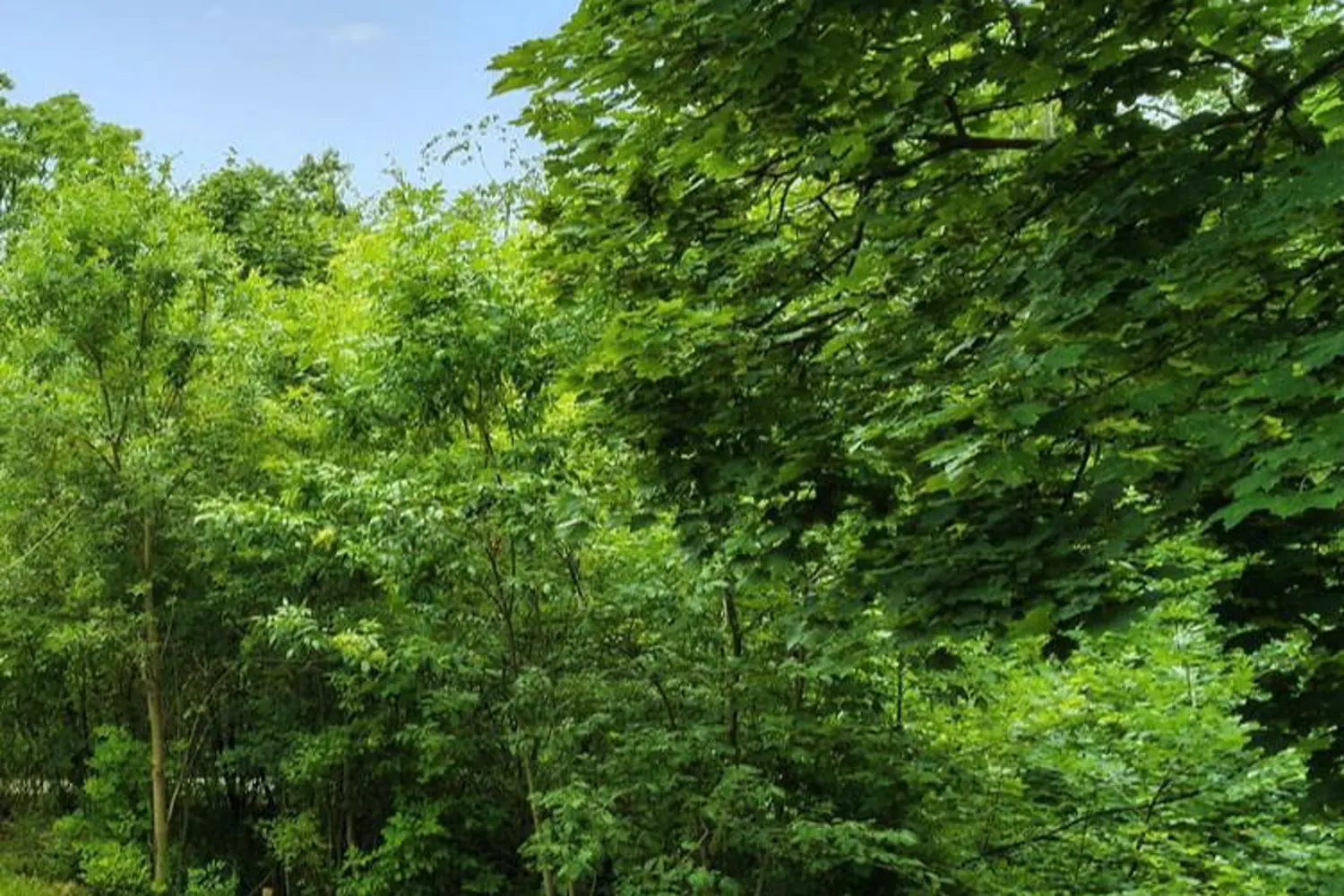 Additional image 16 of 38 Woodrow Street