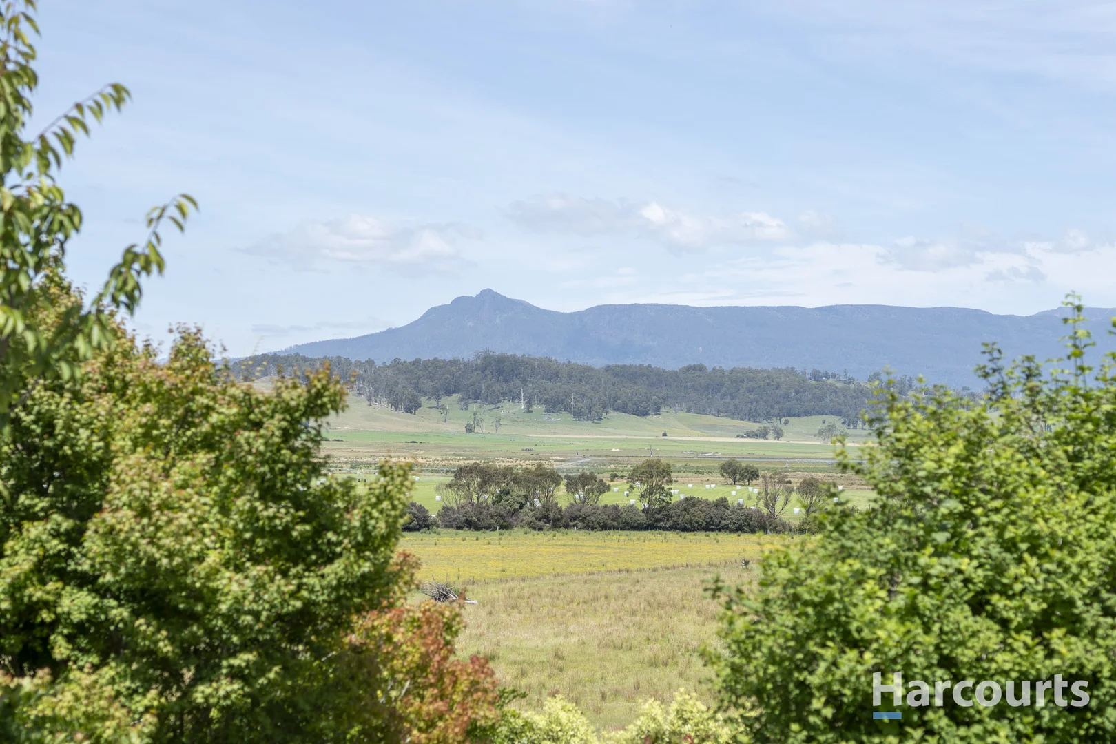 Additional image 4 of 1793 Mole Creek Road, Chudleigh TAS 7304