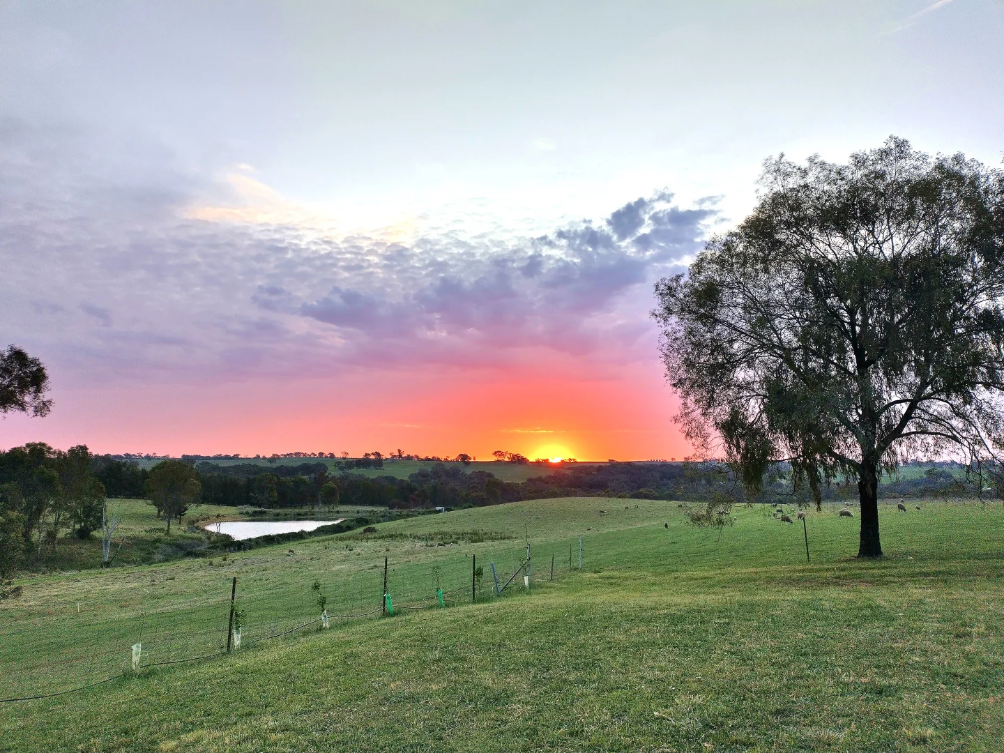 Additional image 24 of 760 Spring Creek Road, Young NSW 2594