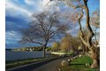 Additional image 26 of 331 Richmond Rd, Douglaston, NY, 11363