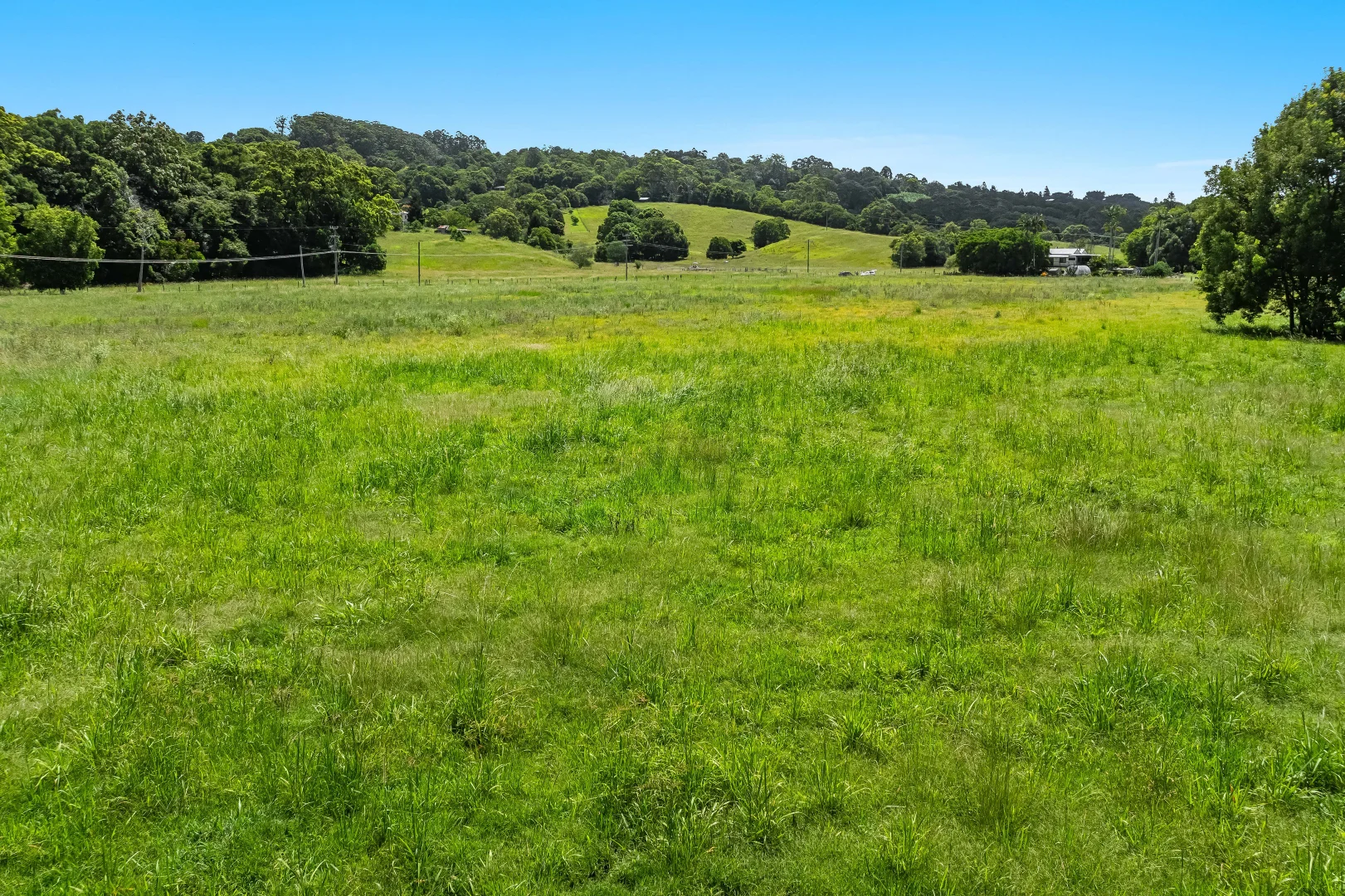 Additional image 4 of 278 Uralba Road, Uralba NSW 2477