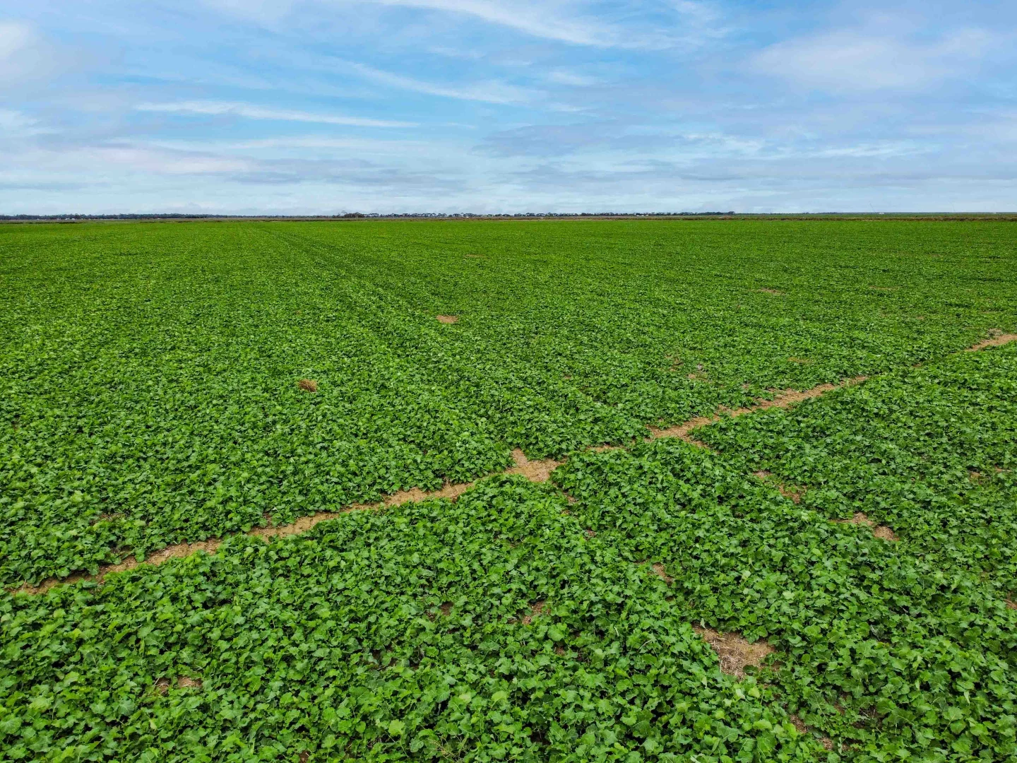 Additional image 9 of Winlaton VIC 3585