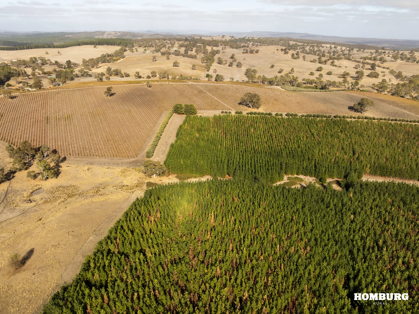 Additional image 7 of 453 Springton Road, Pewsey Vale SA 5351