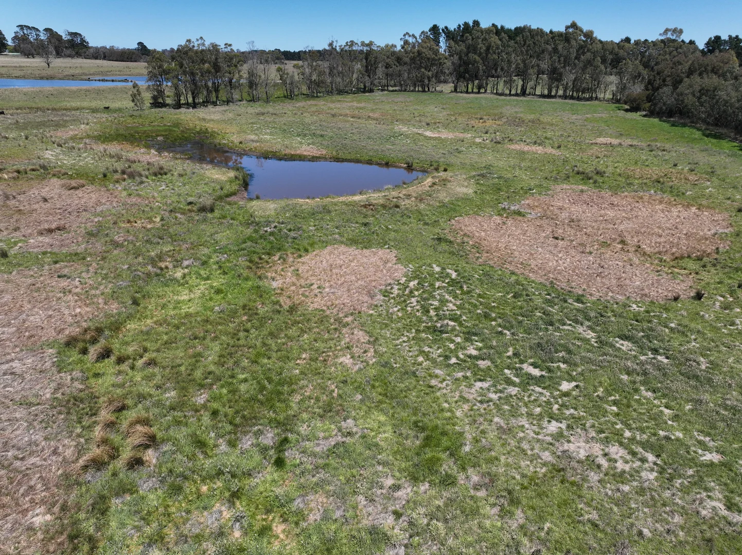 Additional image 19 of Lot 1 Mount Rae Road, Roslyn, Crookwell NSW 2583