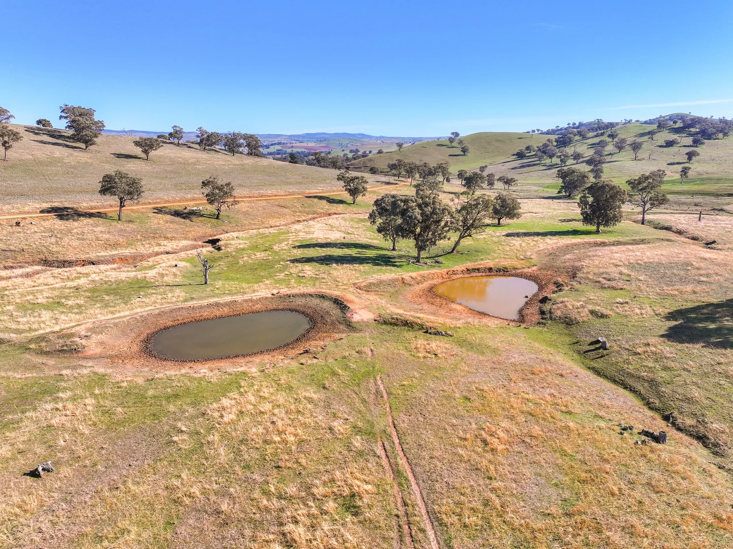 Additional image 6 of 444 Hoares Lane, Muttama NSW 2722