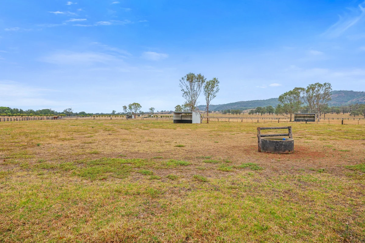 Additional image 17 of 164 Upper Dartbrook Road, Scone NSW 2337