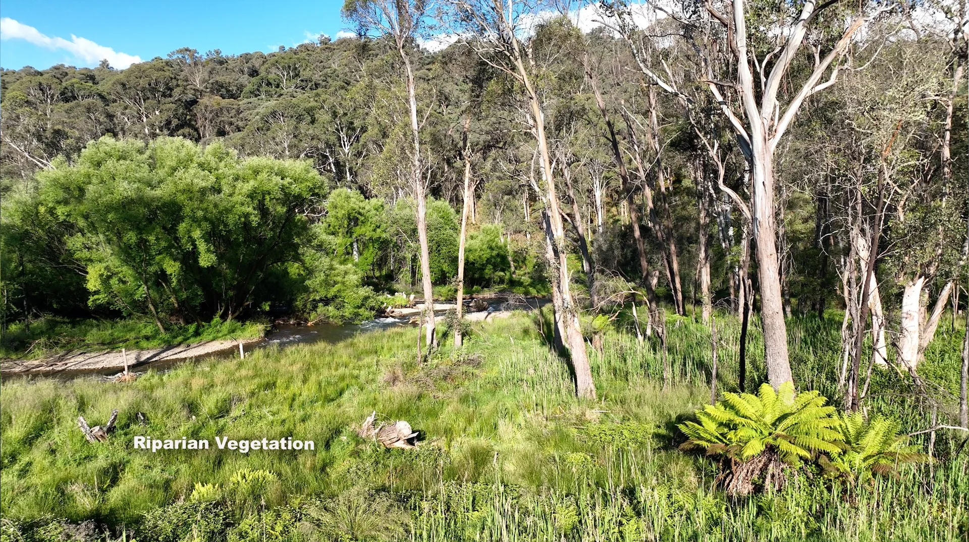 Additional image 19 of Smoko VIC 3741