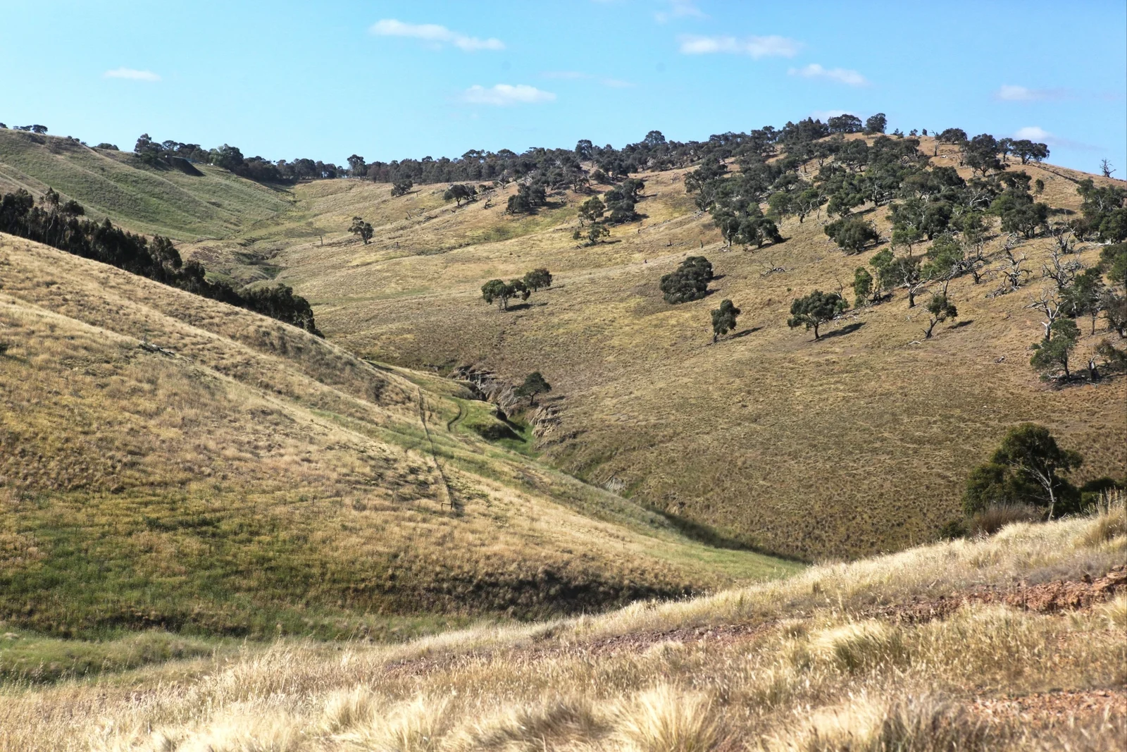 Additional image 21 of 490 Settlement Road, Sunbury VIC 3429