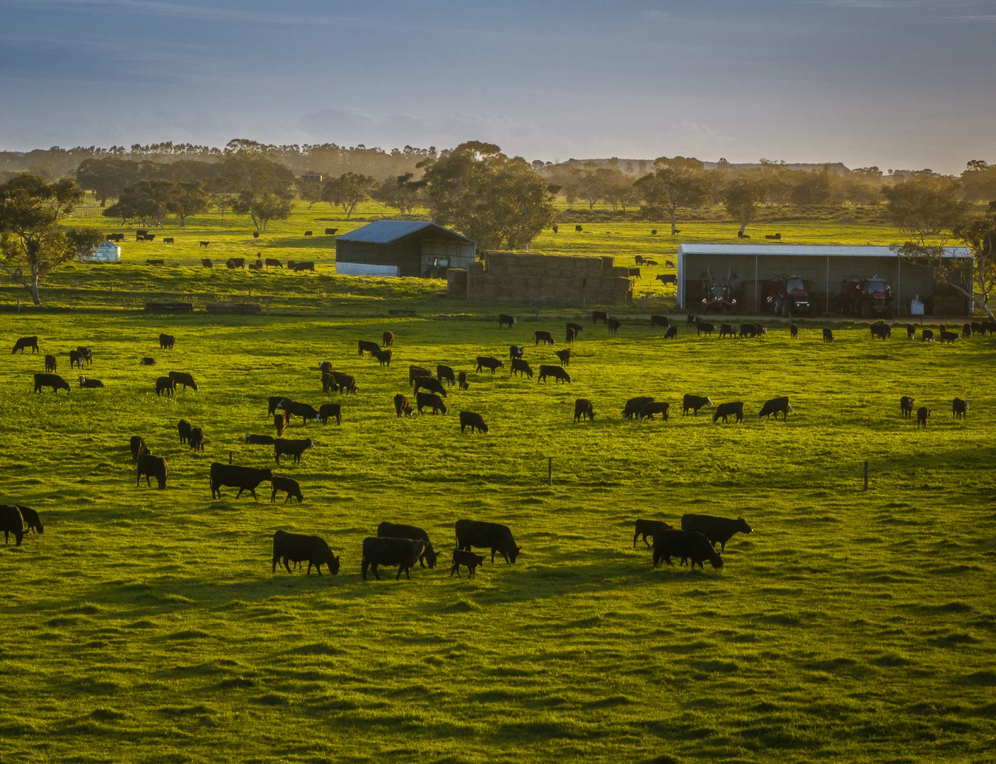 Additional image 24 of 325 Maranoa Downs Road, Stewart Range SA 5271