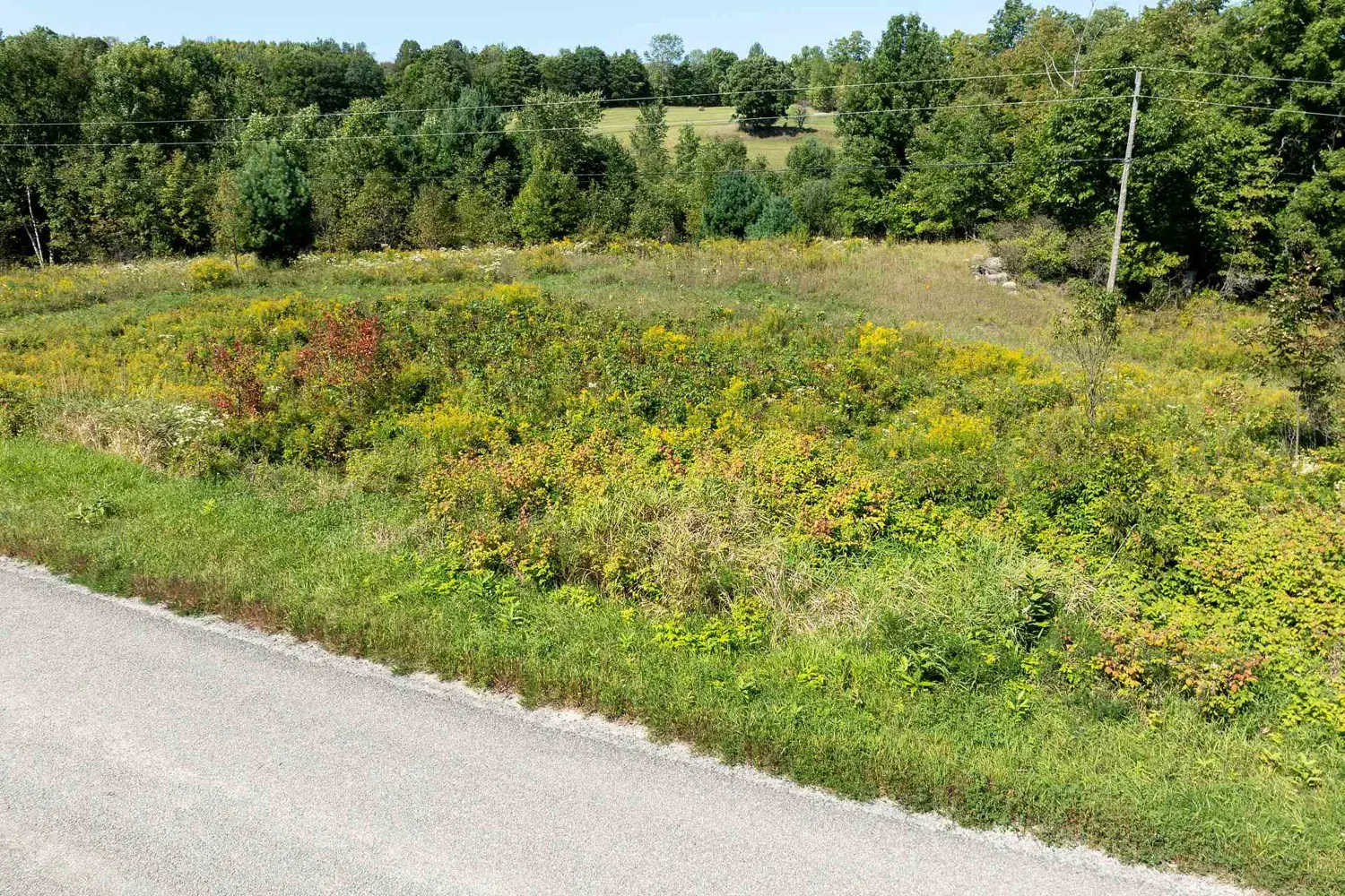 Additional image 9 of 268 Crozier Road