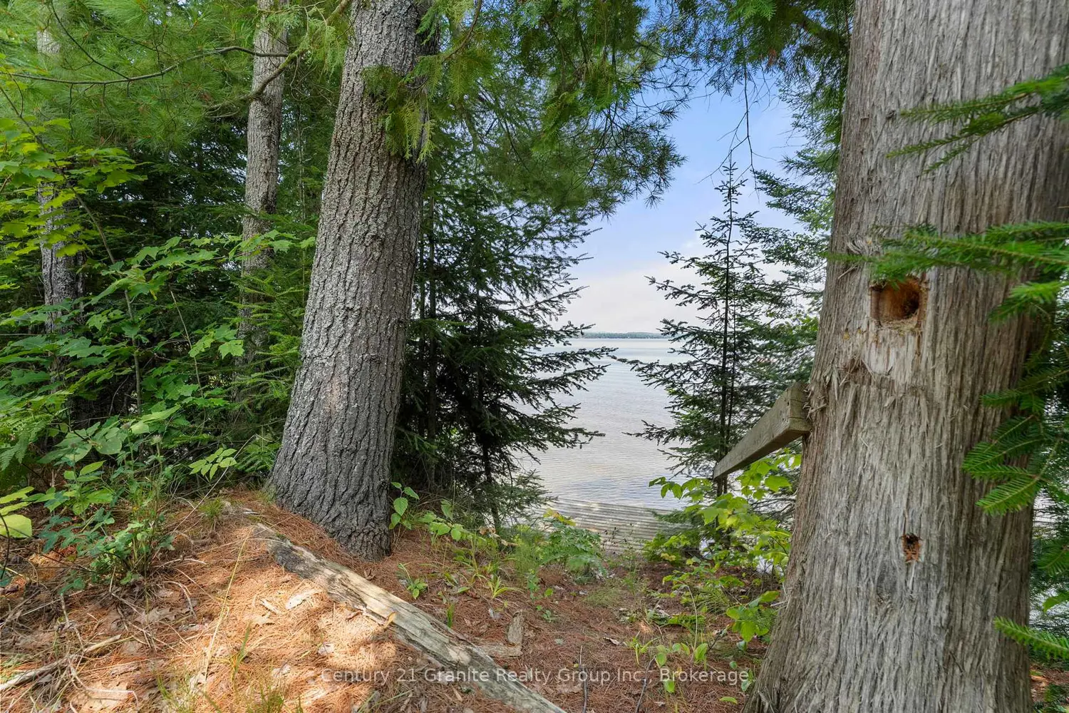Additional image 15 of 1753 Northshore Road