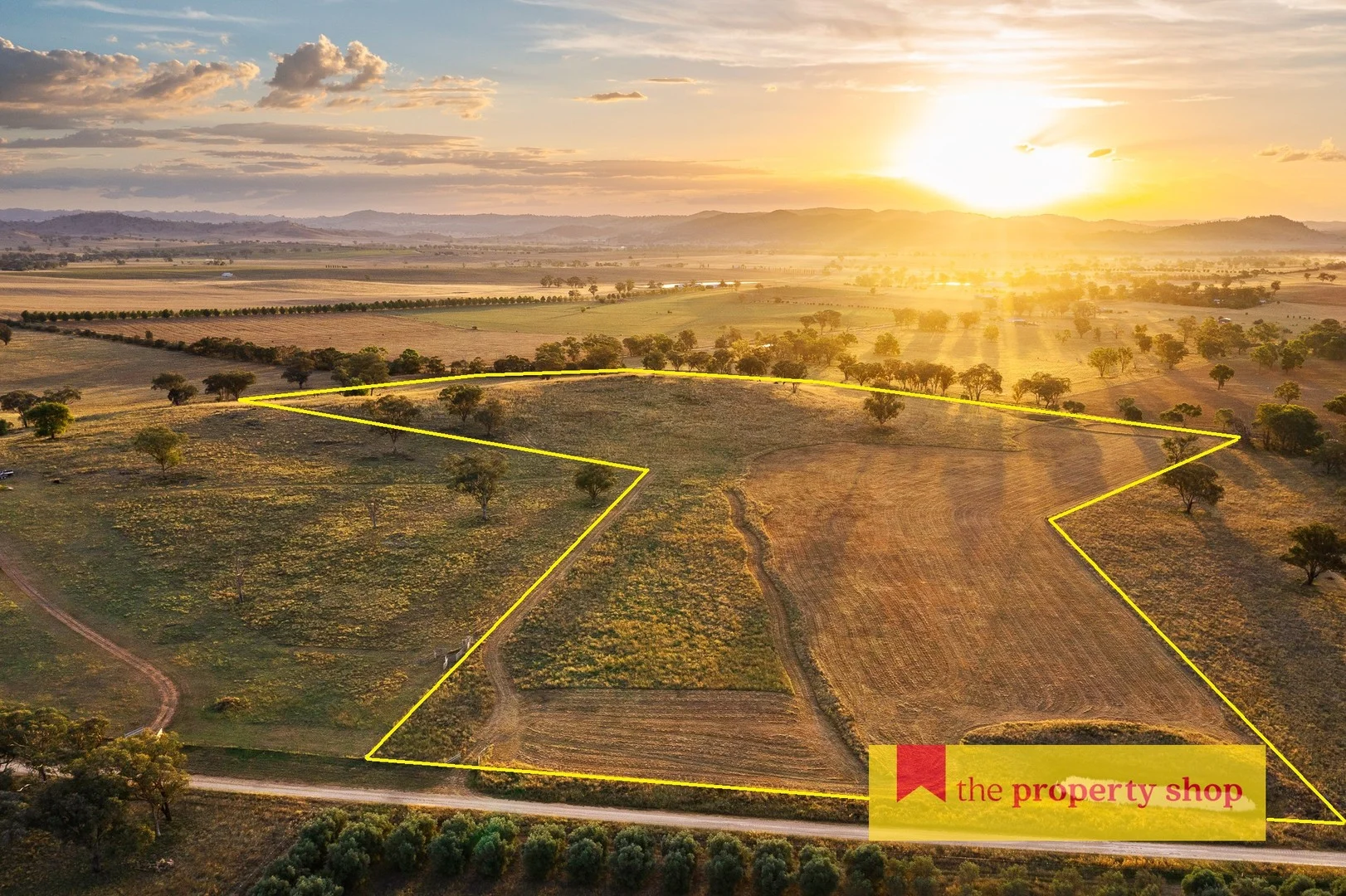 705 Springfield Lane, Gulgong NSW 2852