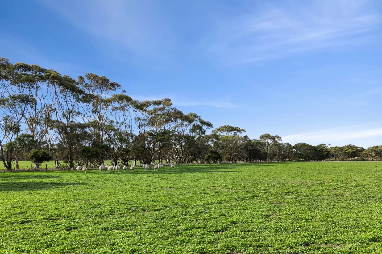 Additional image 11 of 680 Ghazeepore Road, Freshwater Creek VIC 3217