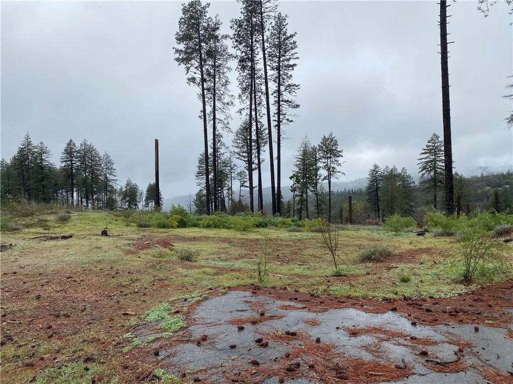 Additional image 22 of 8941 Skyway, Paradise, CA 95969