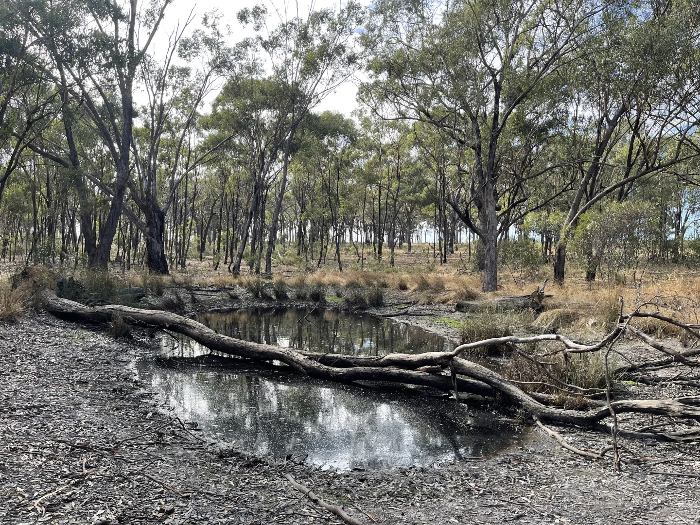 Additional image 12 of 0 Carapooee Road, St Arnaud East VIC 3477