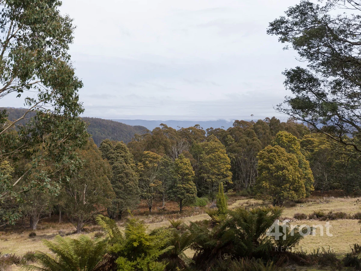 Additional image 18 of 1 and 2/141 Tiers View Road, Golden Valley TAS 7304