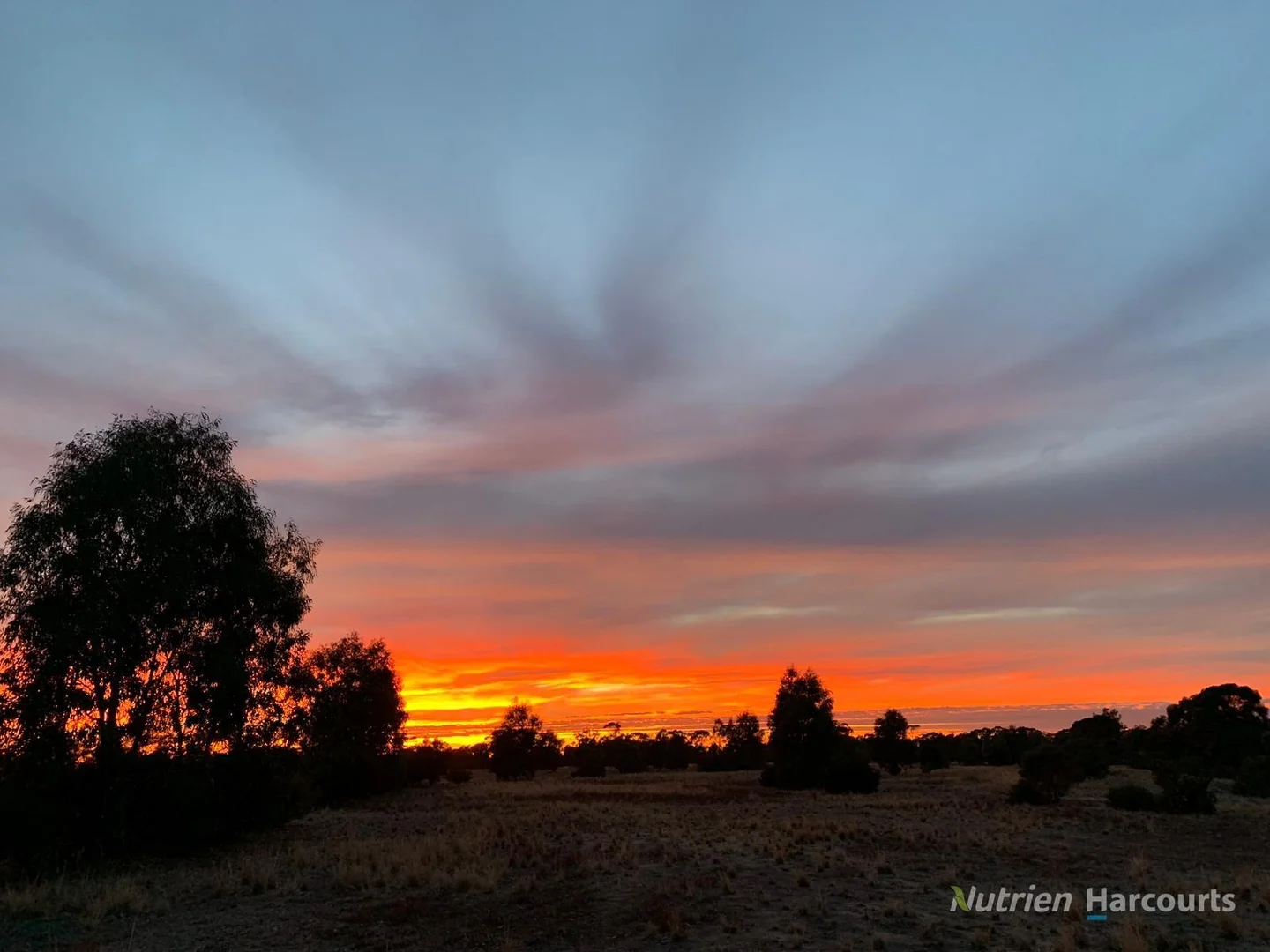 Additional image 8 of Lot 1 Wedderburn-Serpentine Road, Glenalbyn VIC 3517