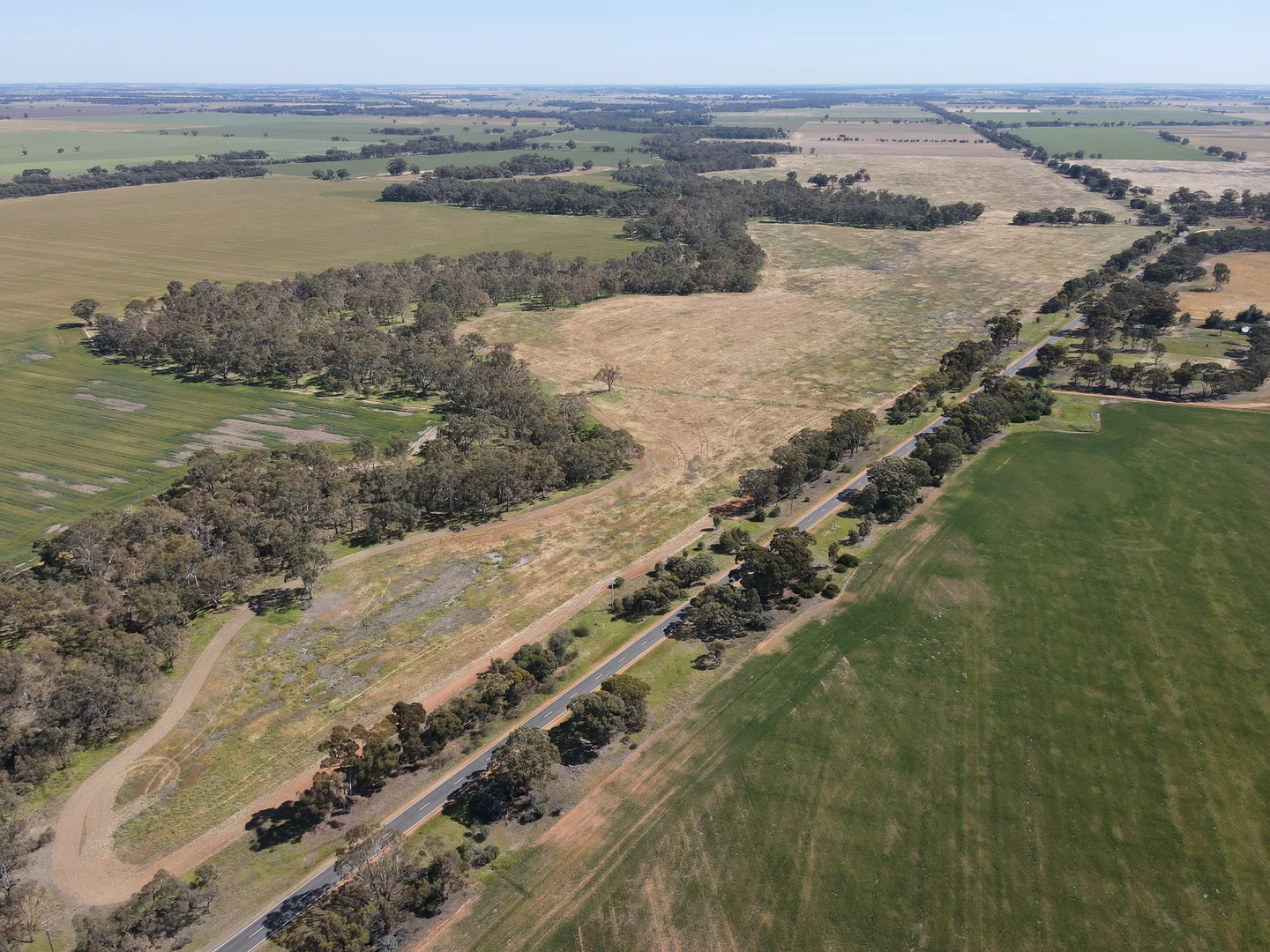 Additional image 11 of Teddywaddy VIC 3527