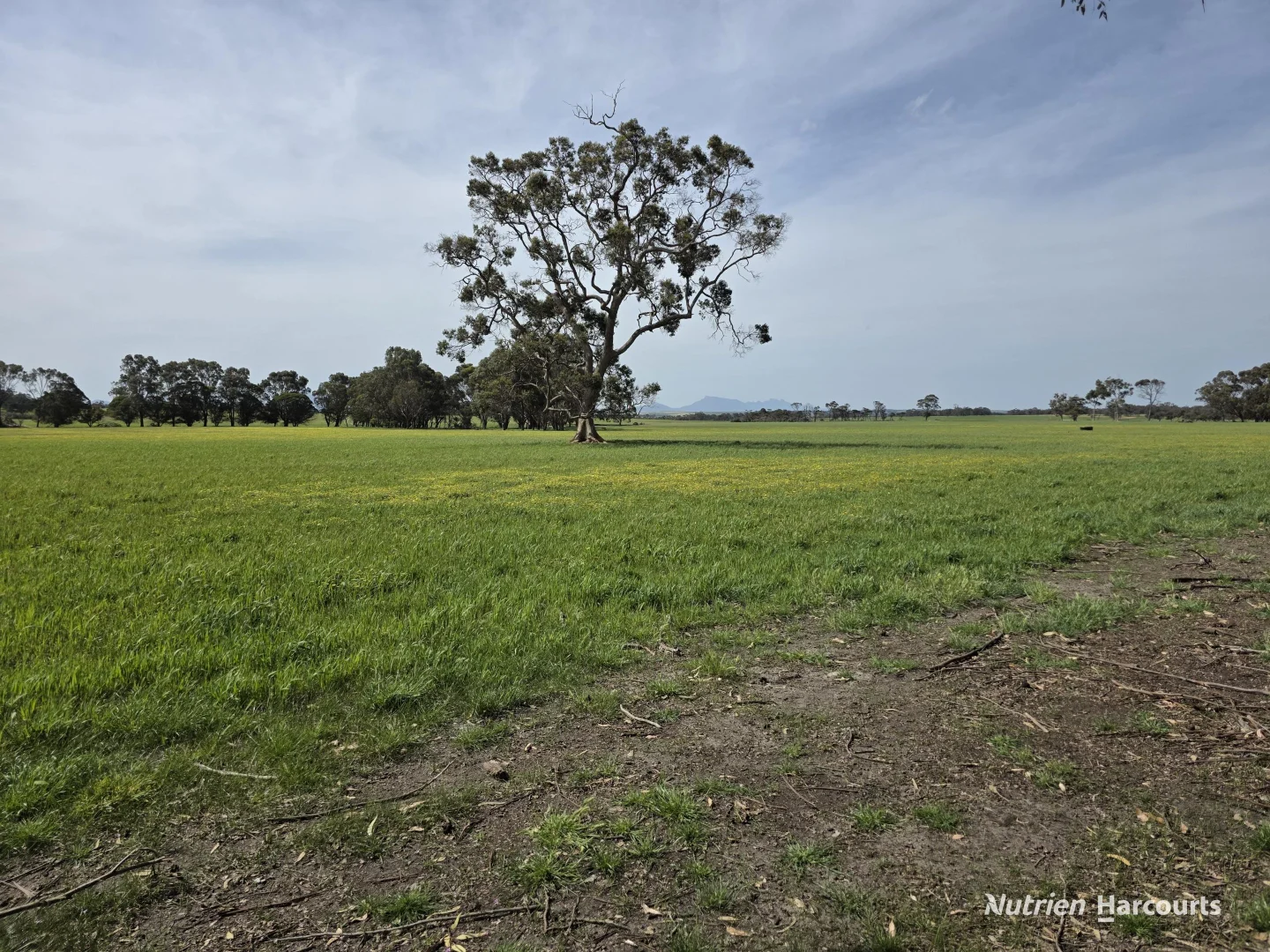 Additional image 47 of 4038 & 4184 Chesterpass Road, Takalarup WA 6324