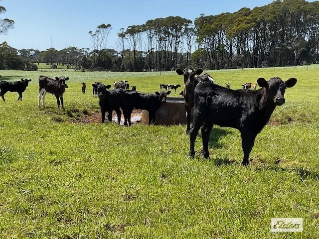 Additional image 45 of Dawkins Road, Lileah TAS 7330