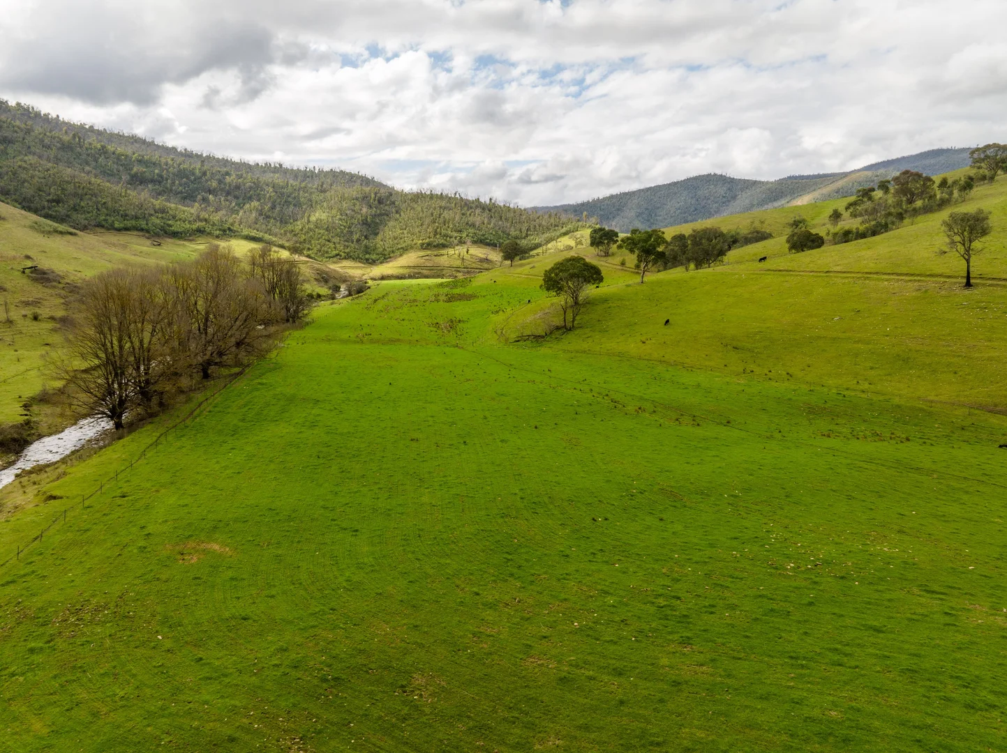 Additional image 10 of 'Rockview' 400 Horse Creek Road, Jingellic NSW 2642