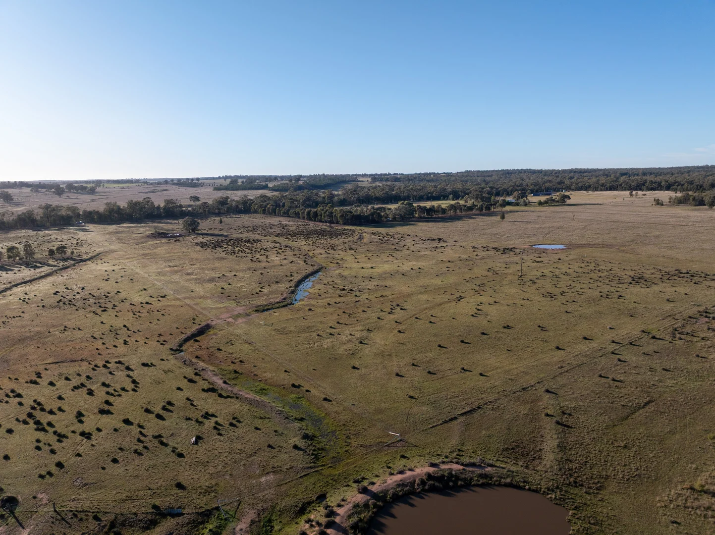 Additional image 4 of Lagoon Creek Road, Minore NSW 2830