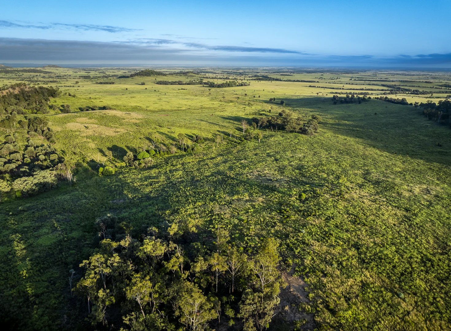 Additional image 19 of 833 Fosters Road, Guluguba QLD 4418