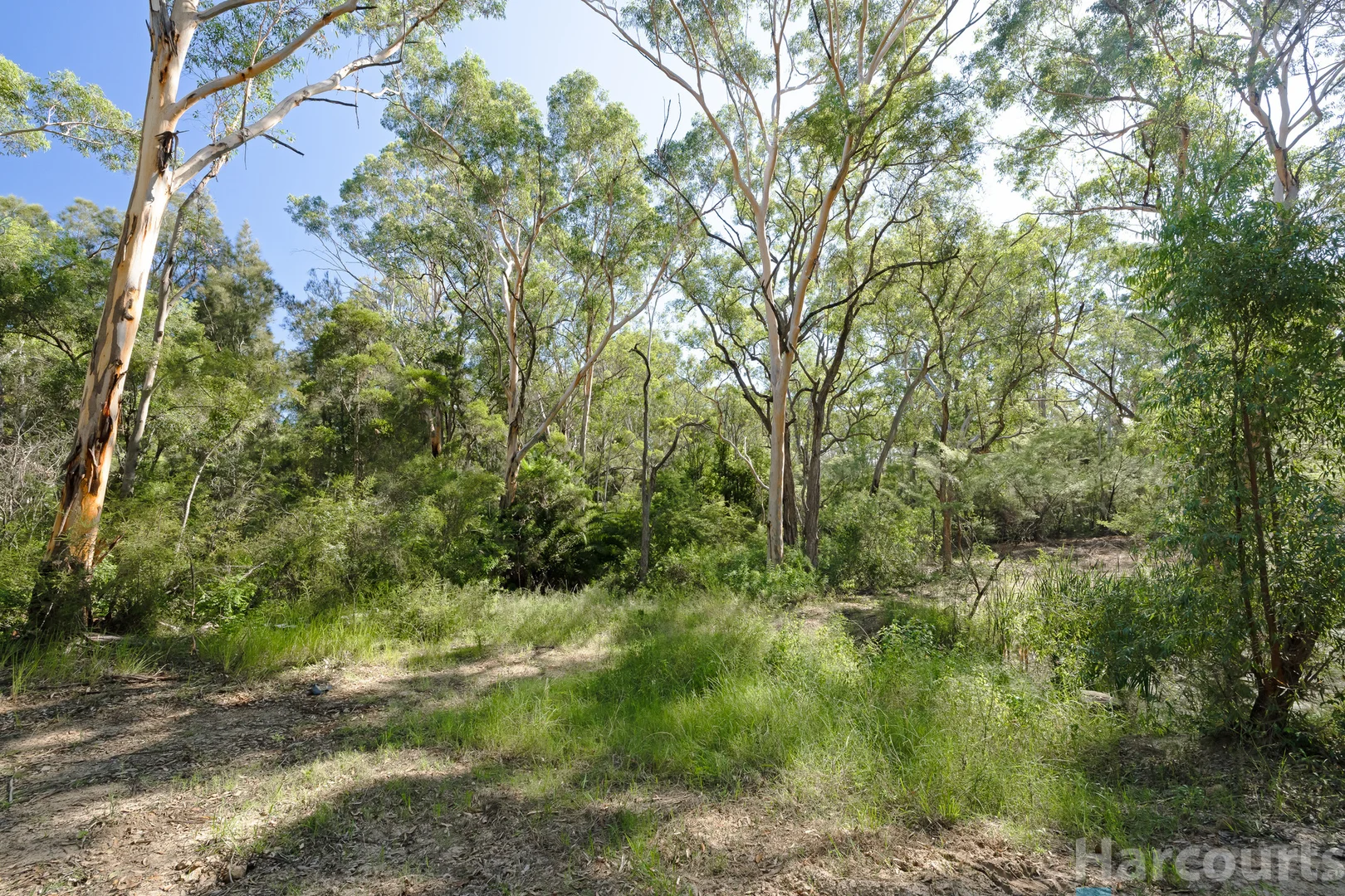 Additional image 3 of 75 Church Street, Abermain NSW 2326