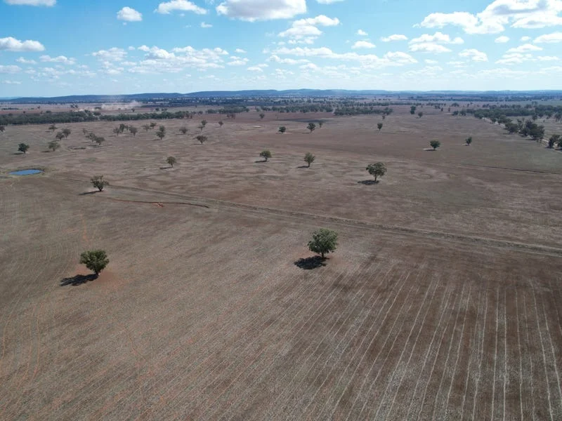 Additional image 12 of "Ben Hall Park" Yarrangong Road, Forbes NSW 2871